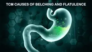 CAUSES OF FLATULENCE AND BELCHING ACCORDING TO CHINESE MEDICINE