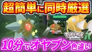 【ポケモンZA】放置可能で超簡単！色違い親分コインキングとヒトデマン厳選方法【ポケモンレジェンズZA】