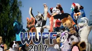 WUFF 2017 Глазами Енота :3