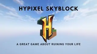 Why you should quit Hypixel Skyblock and I did too