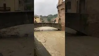 Piena del fiume a Modigliana (FC), inizio Giugno 2023. Video Daniel Dotti Francioni
