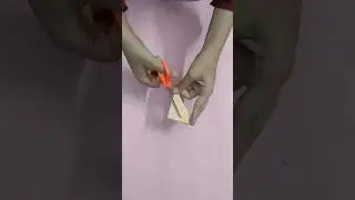 Paper hack#trending#diy#craft#shortsfeed#shorts#short#ytshorts#viral@AyeshaCraftDenyj