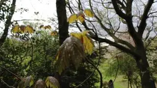 my photos 1