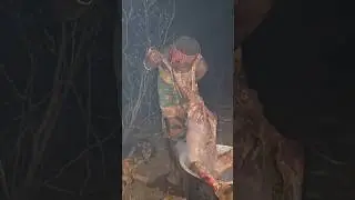 Hadzabe beautiful girl eating big baboon meat #reels #shorts #video