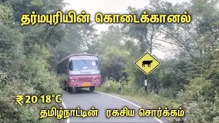 🤩 தர்மபுரியின் கொடைக்கானல் 🤩