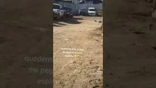 #usa  #mexico  #accidentnews  #offroad  #fyp  #parati  #apoyo  #quedateastaelfinal 🚫🤧