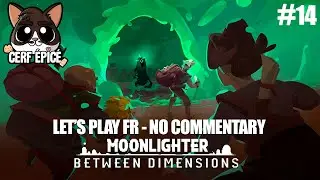 #14 - Moonlighter : Between Dimensions - DLC : on farm le donjon interdimensionnel