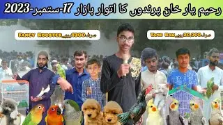 Rahim Yar Khan Sunday Birds Market latest updates 17-September-2023