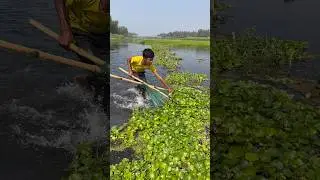 Nets of Heritage: Traditional Fishing Life in Rural Wetlands #fishing
