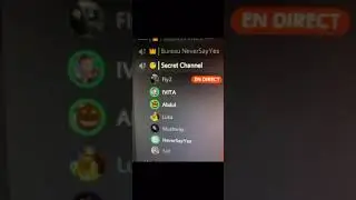 Sans J ce beau vocale Neversayyes