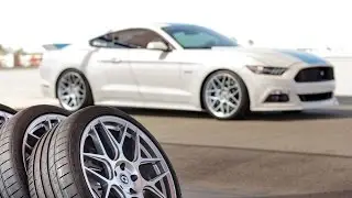 The NEW ExtremeContact Sport