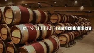 Il vino italiano sui mercati esteri - Enolitech 2014