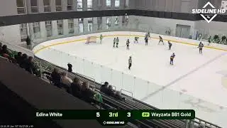Wayzata BB1 Gold vs. Edina White (2026.01.17)