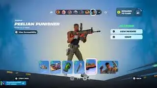 Fortnite how many wins can we get