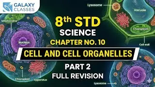 8th Std Science Ch 10 Cell and Cell Organelles Part 2 | Nucleus, ER, Golgi & Lysosome | SSC