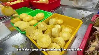 Canned Pineapple Processing Line