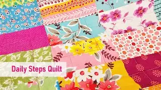 Daily Steps Quilt 2020 Denyse Schmidt Fabrics