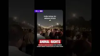Delhi protest  public behafe 🪧 on dog 🐕 supreme court order again dag