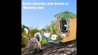 ZUPIROL Smart Bird Feeder Camera
