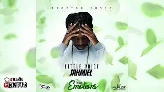 Jahmiel - Little Voice [True Emotions Riddim] July 2017