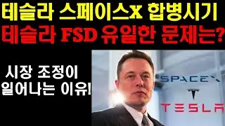 테슬라 스페이스X 합병시기! 테슬라 자율주행의 유일한 문제는? AI 시장 분위기 무너질까? 팔란티어 엔비디아 하락장에 잡아야 하나? 테슬라는 갑자기 폭발적 상승이 온다!
