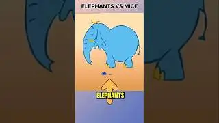 Are Elephants Really Afraid of Mice? 🐭
