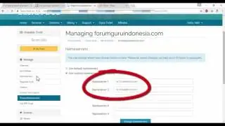 Cara setting nameserver di HawkHost untuk hosting pertama dan instalasi domain
