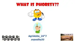 What is Phoresy