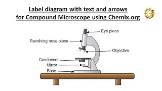 Label diagram with text and arrows for Compound Microscope using Chemix.org