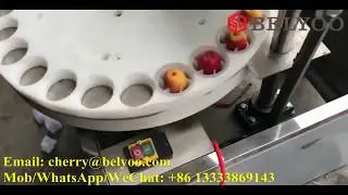 Belyoo semi automatic apple coring machine/apple core removing and cutting machine