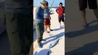 Shore Jigging #shorts