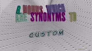 custom - 6 nouns synonym to custom (sentence examples)