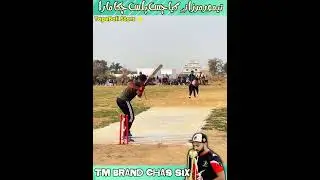 Taimoor Mirza | TM Chas Plus Six | Kamal Six| 2025