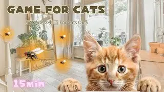 Vol.4For Cats Only 🪰 Realistic Fly Chase (15min Cat Game Video)猫専用｜リアルなハエを追いかける映像 15分
