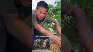 Tập 4: Cuộc phiêu lưu sinh tồn trên đảo Solomon, nơi bắt đầu thử thách sinh tồn trên đảo hoang