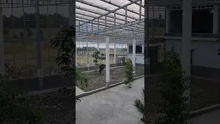 The Work Of Our Out Door Open Aviary Is Almost Finished. 🦜#parrot Dipankar