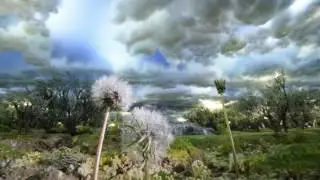 Dancing dandelions