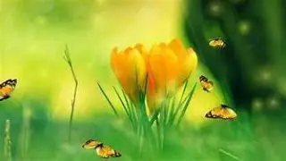 LIBRA MAY 2022 MID MONTH