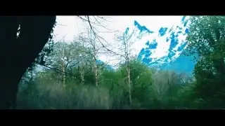 VFX Adobe After Effects