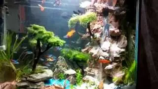 new world...aquarium