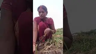 27 अक्तूबर 2025
