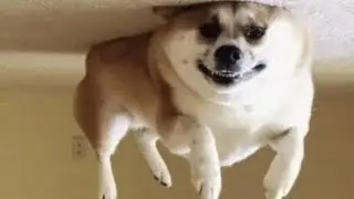 Exactly 2 minutes of random saved tiktoks