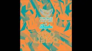 Vintage Culture, Shapeless - Bidolibido
