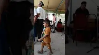 Aliboy safarov uning jamosi jonli ijro