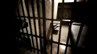 Felon Voting: Should Felons Be Allowed to Vote?