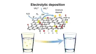 Using graphene foam to filter toxins from drinking water | Extract uranium from contaminated water.