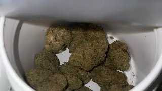 Uk medical cannabis review! Adven Cura-11 T25 LA Kush Cake & Grow Pharma T22 Hellfire OG