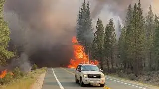 Tamarack Fire Jumps Highway 89 Near Markleeville, California
