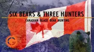 Two Bears in Five Minutes | Canadian Black Bear Hunting