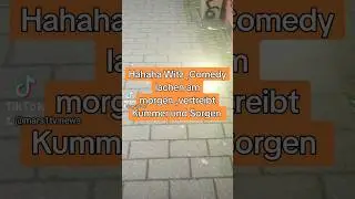 Habecktus ,Scholzhaus,Anna Lena Witz ,Comedy ,Satiere ,lachen ist gesund